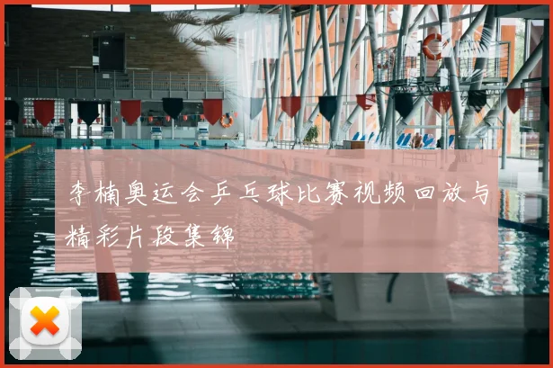 李楠奥运会乒乓球比赛视频回放与精彩片段集锦